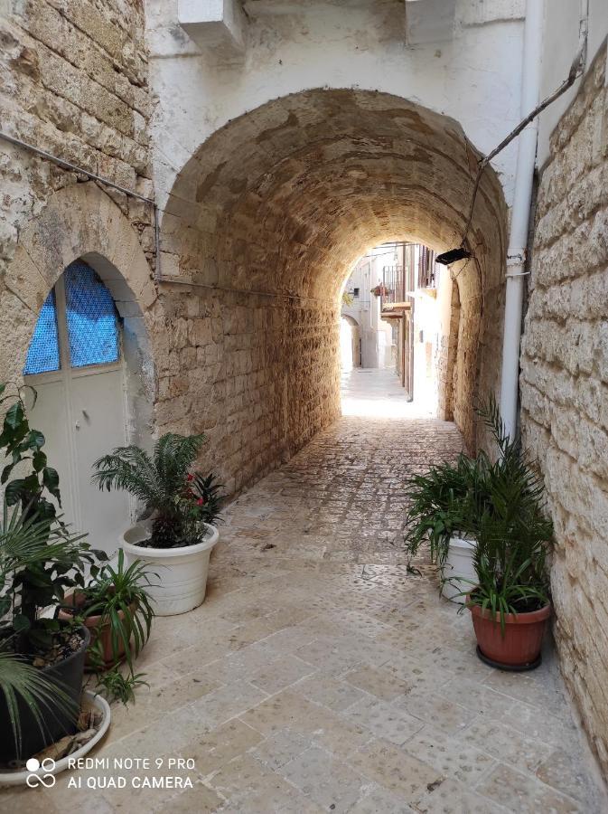 Il Tufo D'Amare Appartamento Affitti Brevi Rutigliano Exterior foto